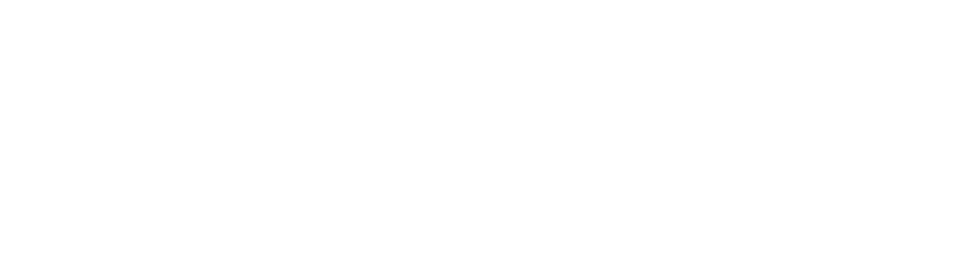 Bizmatte logo